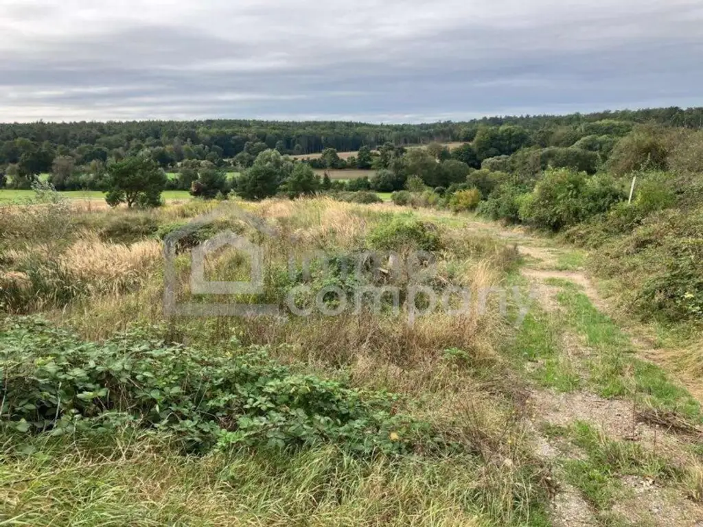 Traumhafter Grund mit Teilwidmung Reitplatz/Reitanlage - 7250 m² um nur 80.000 €!