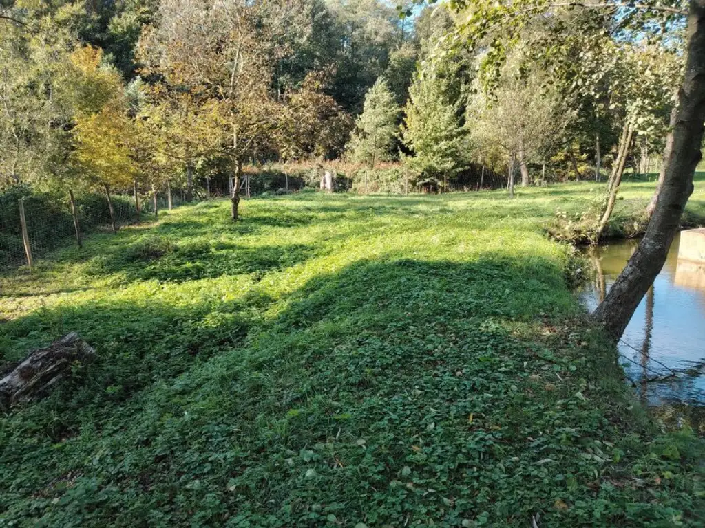 Naturidylle mit Fischteichanlage nahe Stadtschlaining