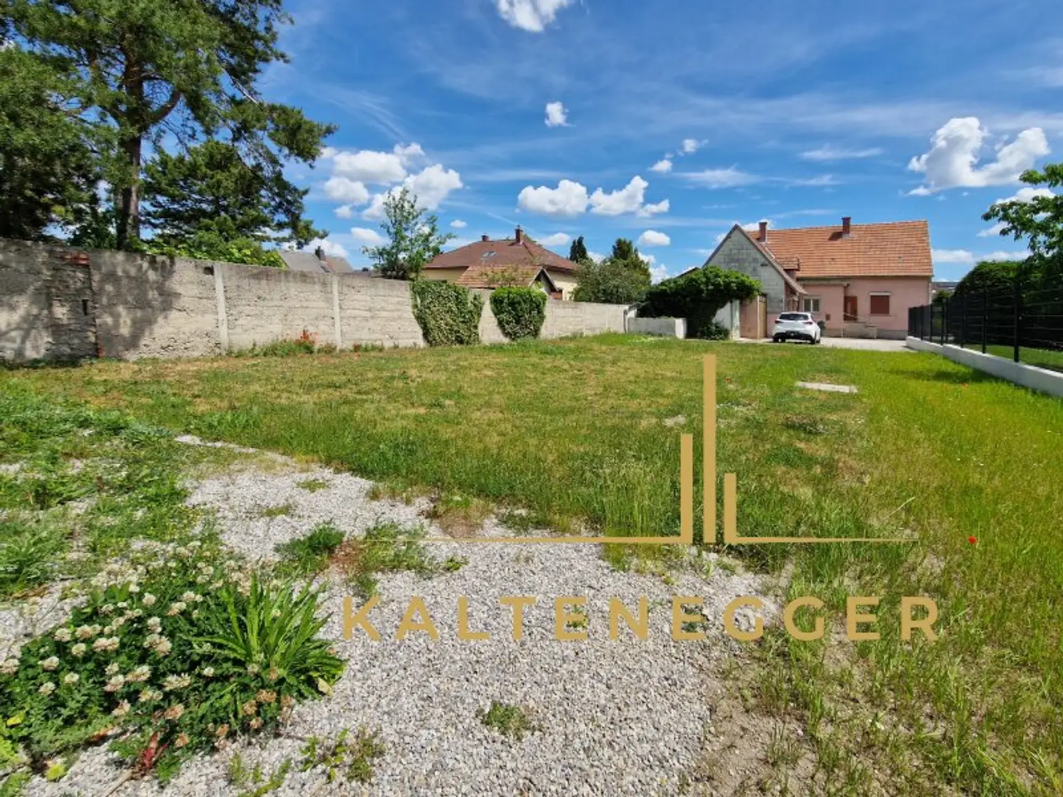 Garten mit Blick auf das Haus