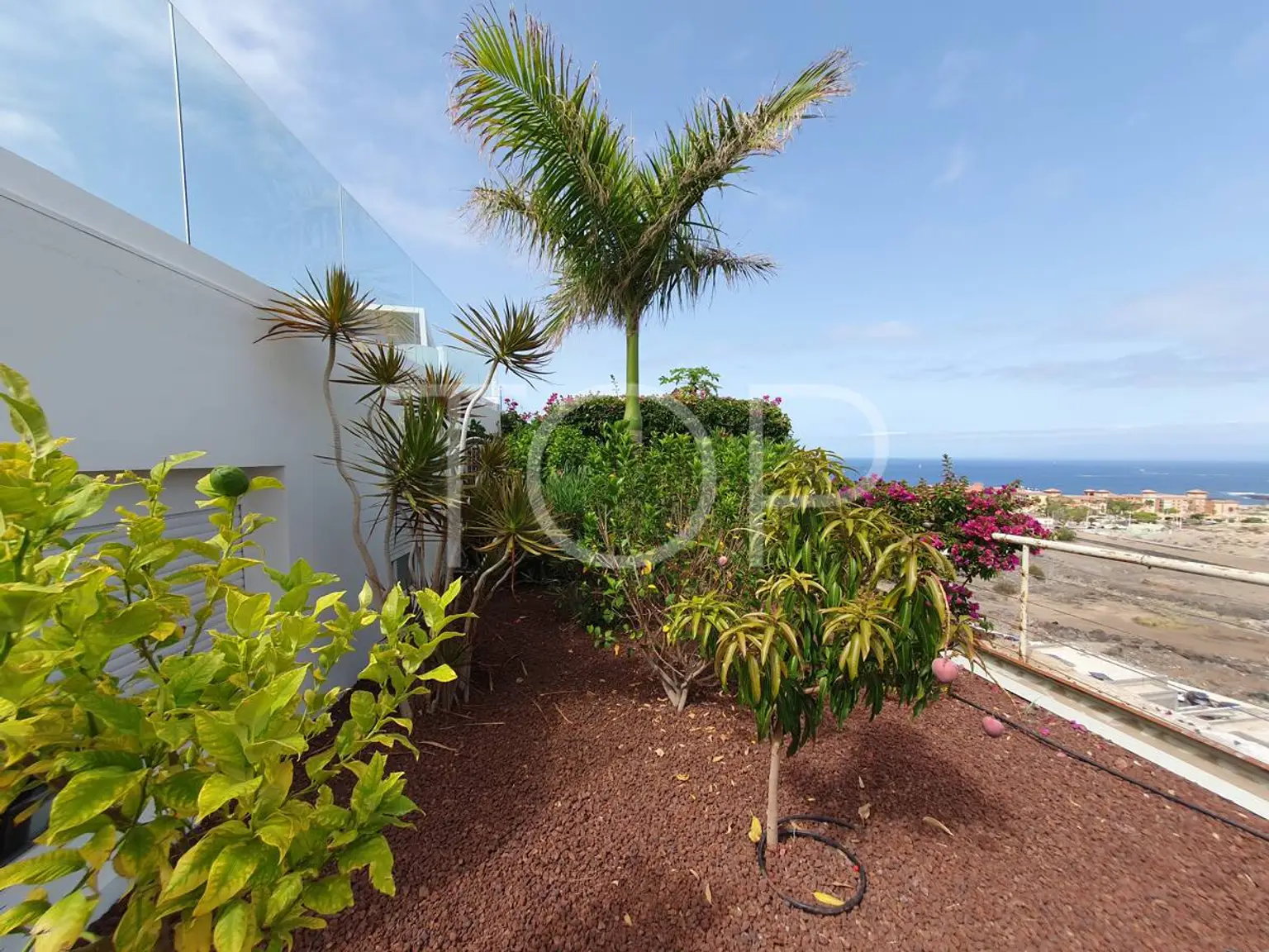 VILLA-EL-DUQUE-DORMITORIO-INDEPENDIENTE-JARDIN-BAJO