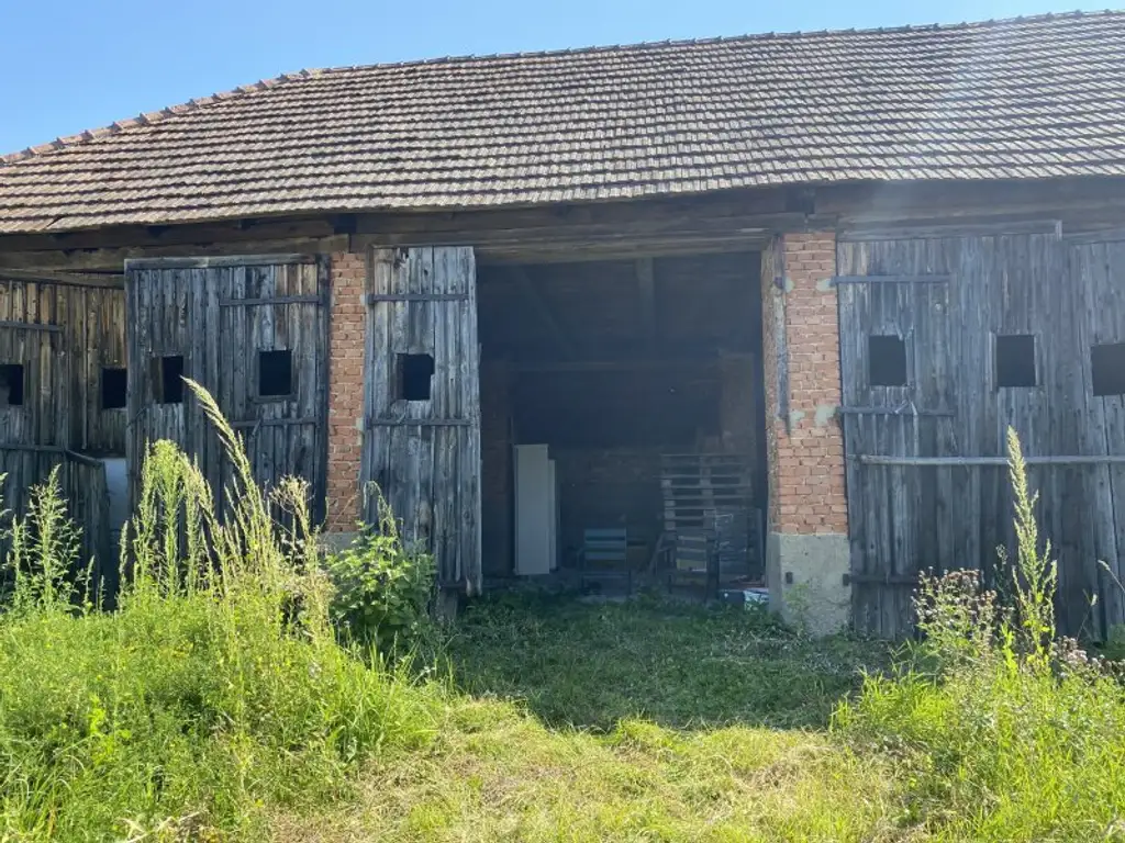 Sanierungsbedürftiger Streckhof mit großem Stadel