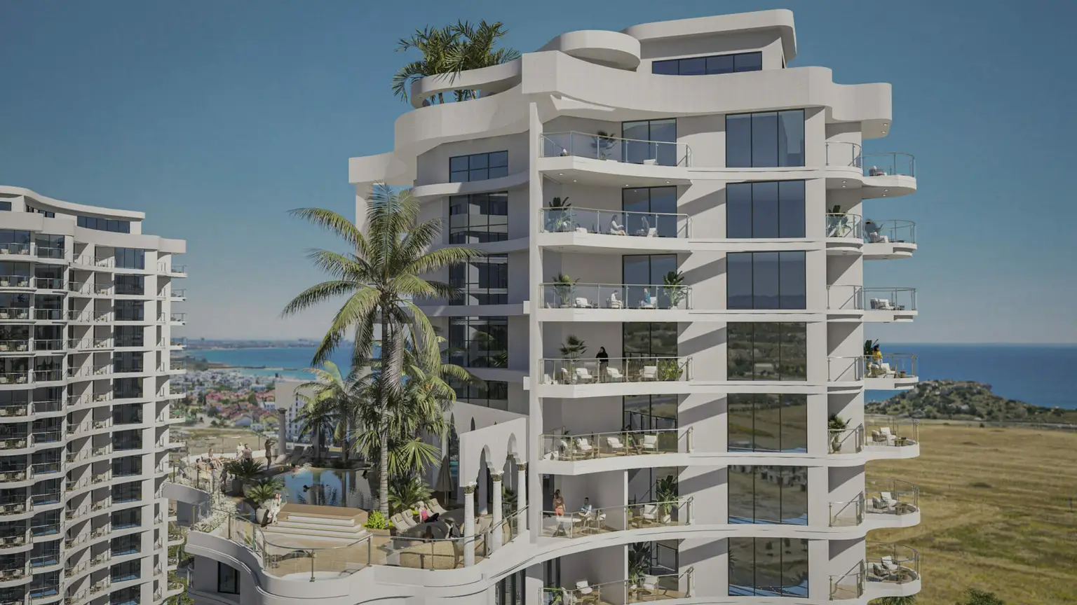 06_Palm-D5_Closeup-scaled(3)