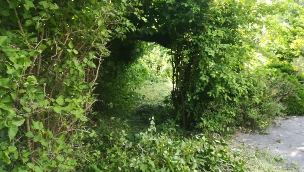 + MIETHAUS IM WIENERWALD + EIGENGARTEN + HAUSTIERE ERLAUBT +