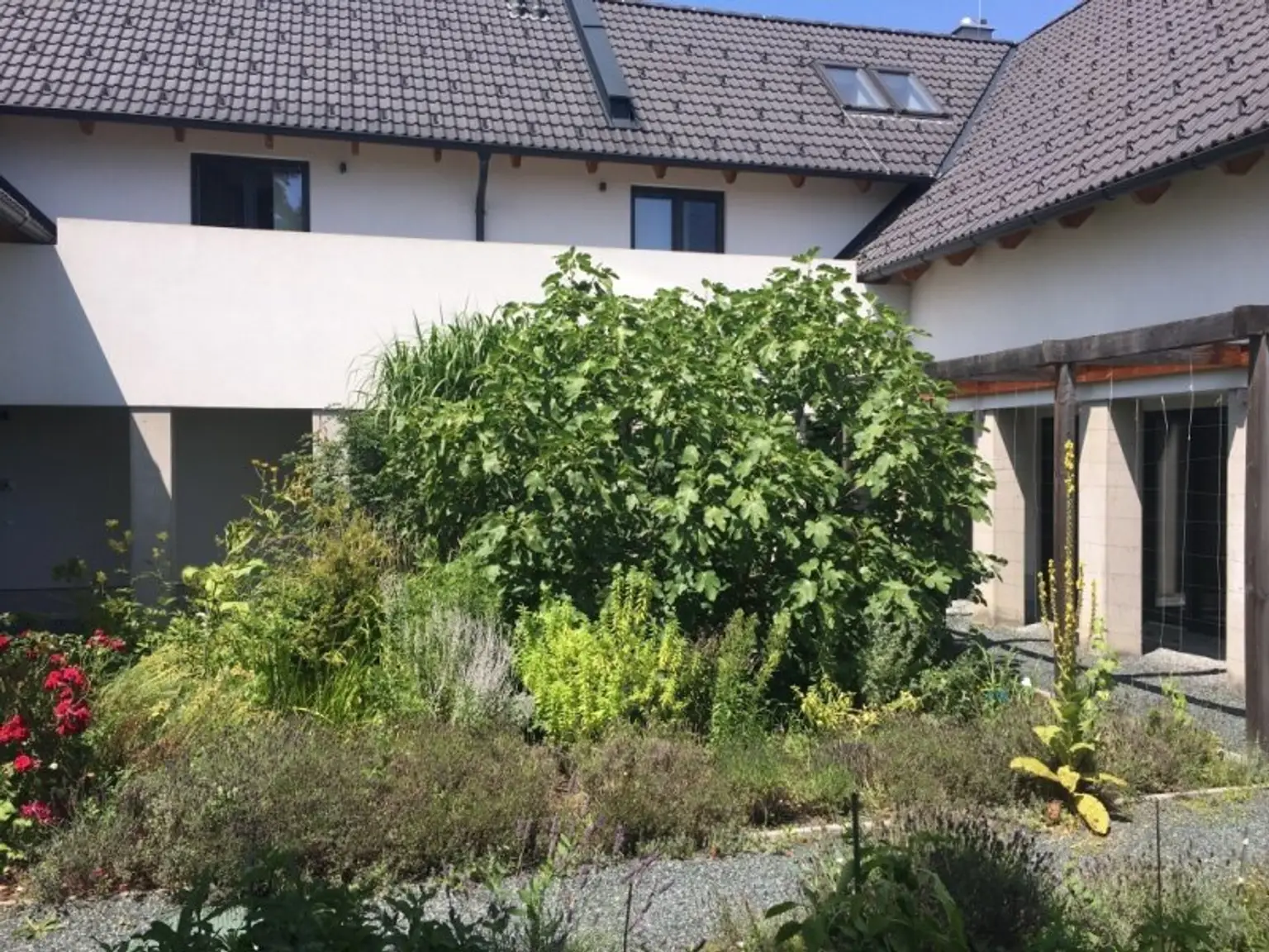 Großer Dreikant-Hof mit vielfältiger Nutzungsmöglichkeit; Wohngemeinschaft, Großfamilie, Seminare, landwirtschaftliche Aktivitäten