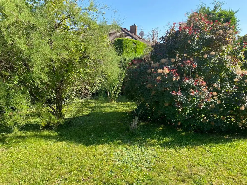 Hier zieh ich ein -  Einfamilienhaus mit großem Garten in Kottingbrunn!