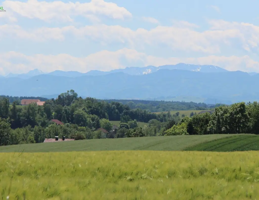 11 Baugrundstücke in Niederneukirchen (Nähe Linz)