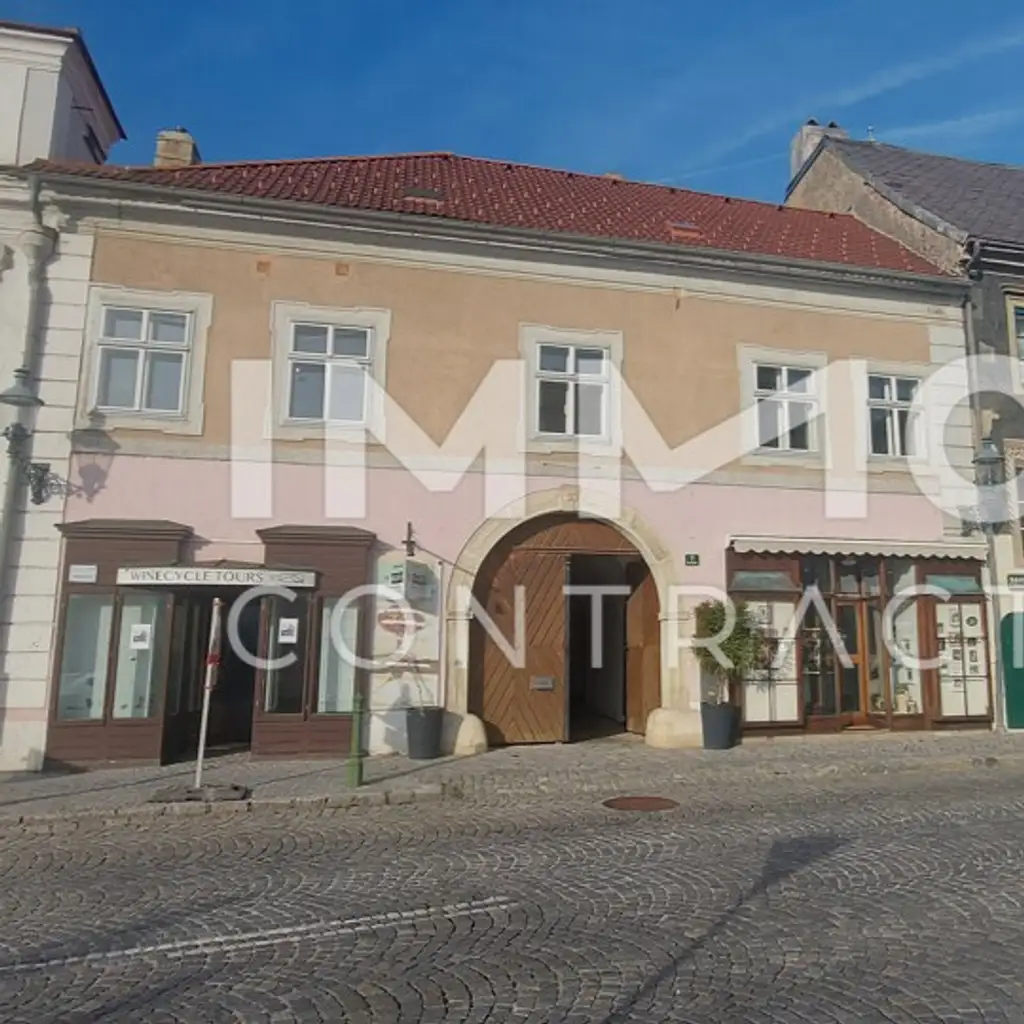 WOHN-UND GESCHÄFTSHAUS AUS DEM 16. JAHRHUNDERT IM HERZEN VON LANGENLOIS 
100 m Kellerröhre, Nebengebäude, Innenhof, Geschäftslokale, usw.