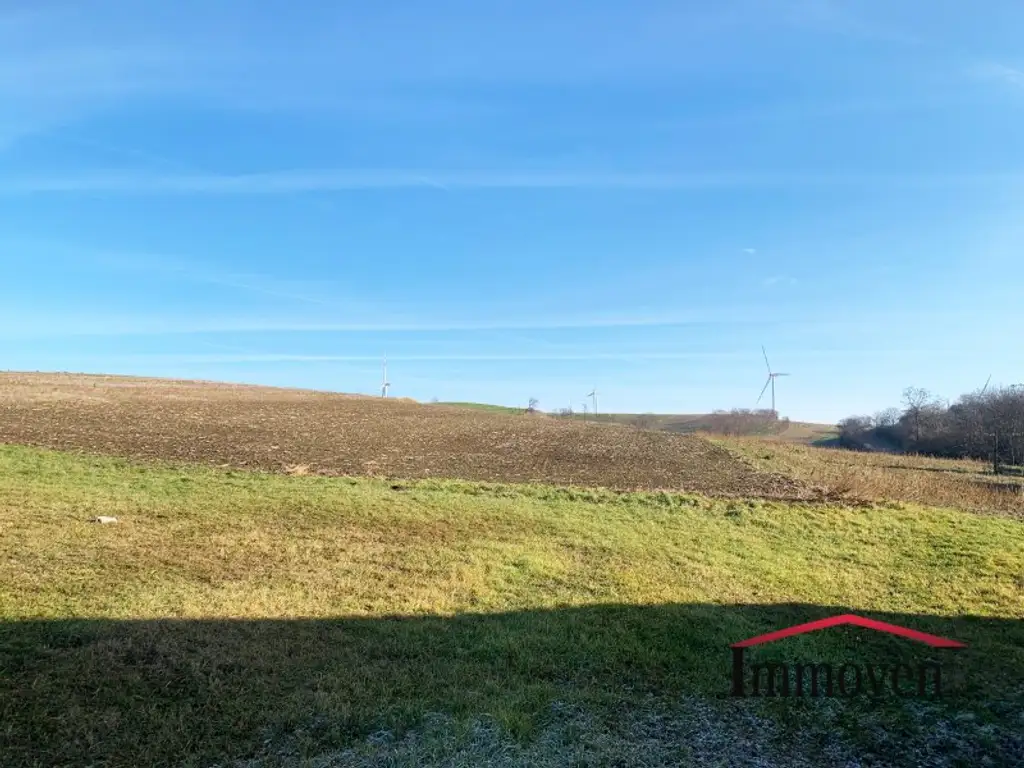 EINMALIGE GELEGENHEIT - Großes sonniges Grundstück und 2 große Ackerflächen!