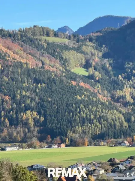 am Berg auf einer großen Lichtung alleine WOHNEN