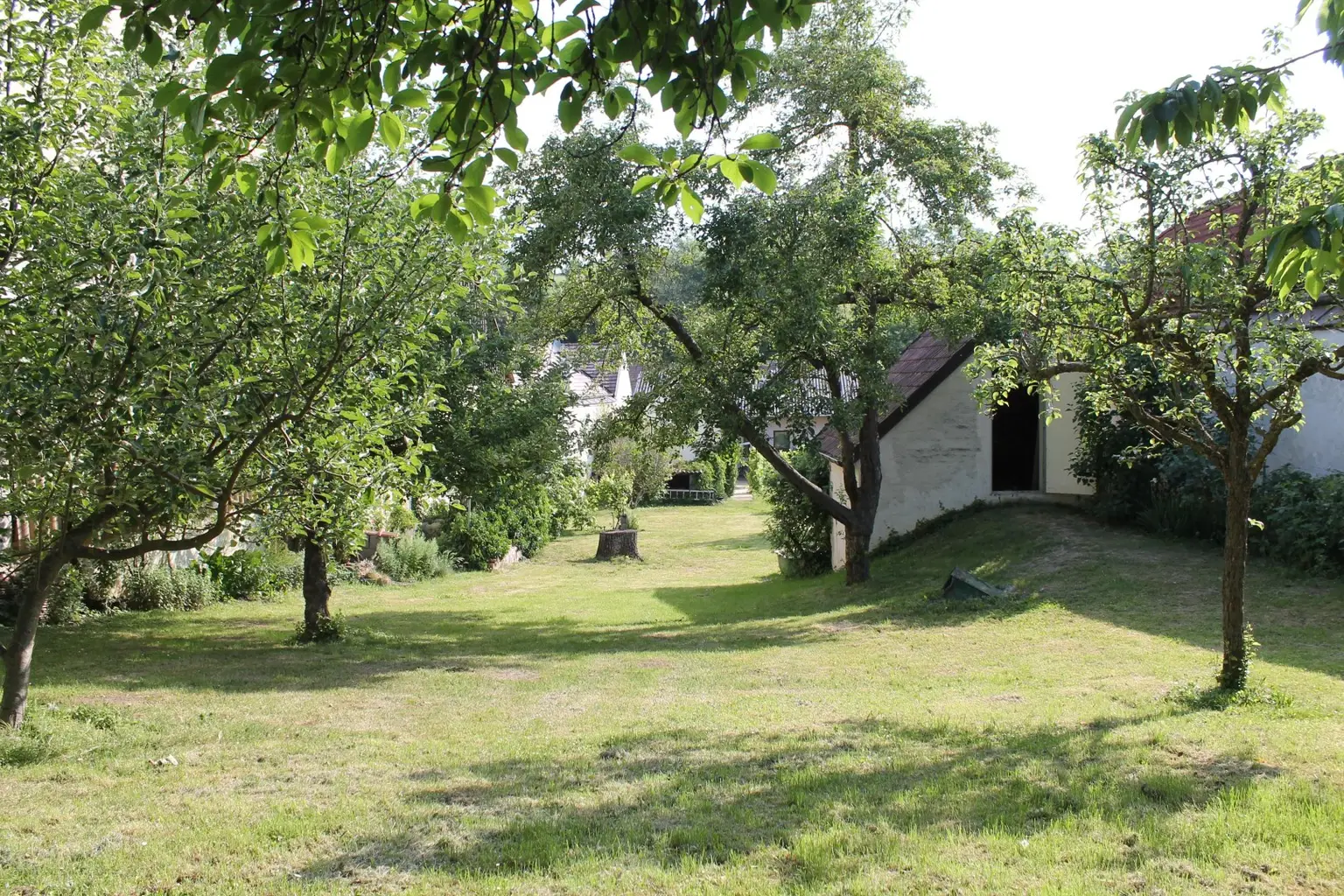 EFH 2011 Oberhautzental - Garten