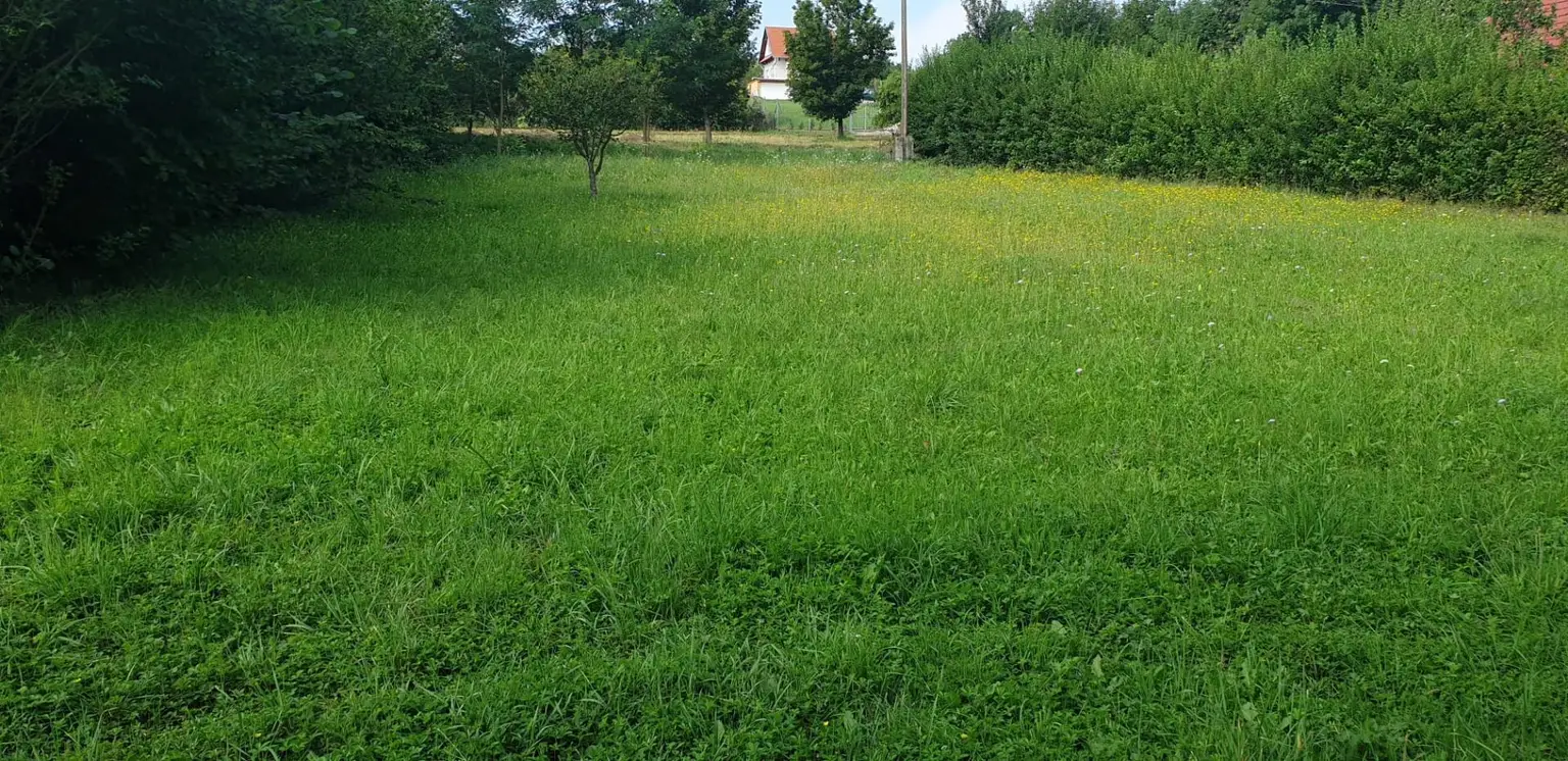 Zweites Grundstück am See