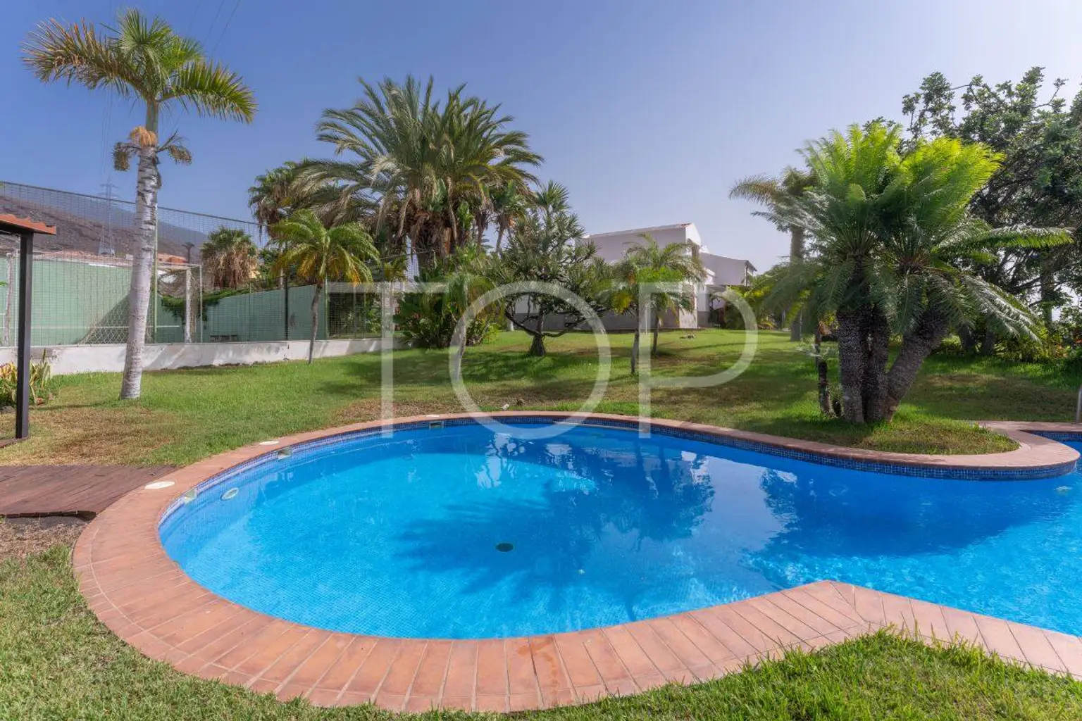 Finca-Candelaria15