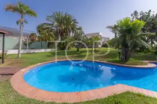 Finca-Candelaria15