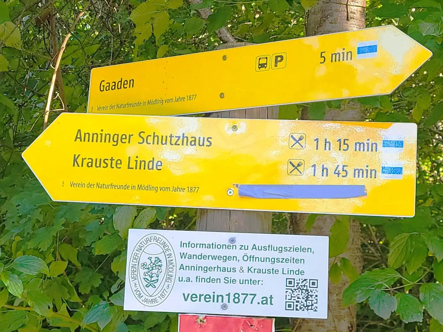 Ca. 1000m² BAUGRUND IM VIELFÄLTIG SCHÖNEN WIENERWALD-ORT GAADEN BEI MÖDLING