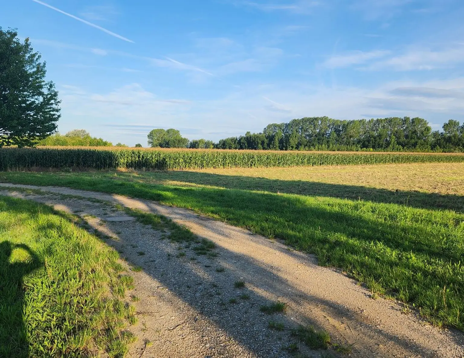 EINE SELTENE GELEGENHEIT AUF EINE KLEINE ACKERFLÄCHE IN FREUNDORF - ZUSAMMENHÄNGENDE LANDWIRTSCHAFTLICHE FLÄCHE