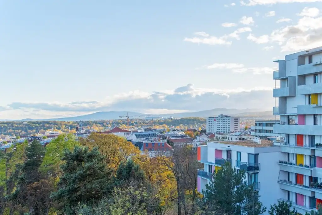 Ab Oktober! Nahe U3! Terrasse mit Weitblick! Prima 3-Zimmer-Wohnung zu vermieten!