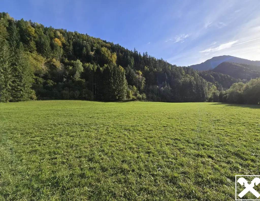 Grundstücke mit Zukunft - vielseitig nutzbare Wald- und Wiesenflächen in idyllischer Lage von Bad Eisenkappel