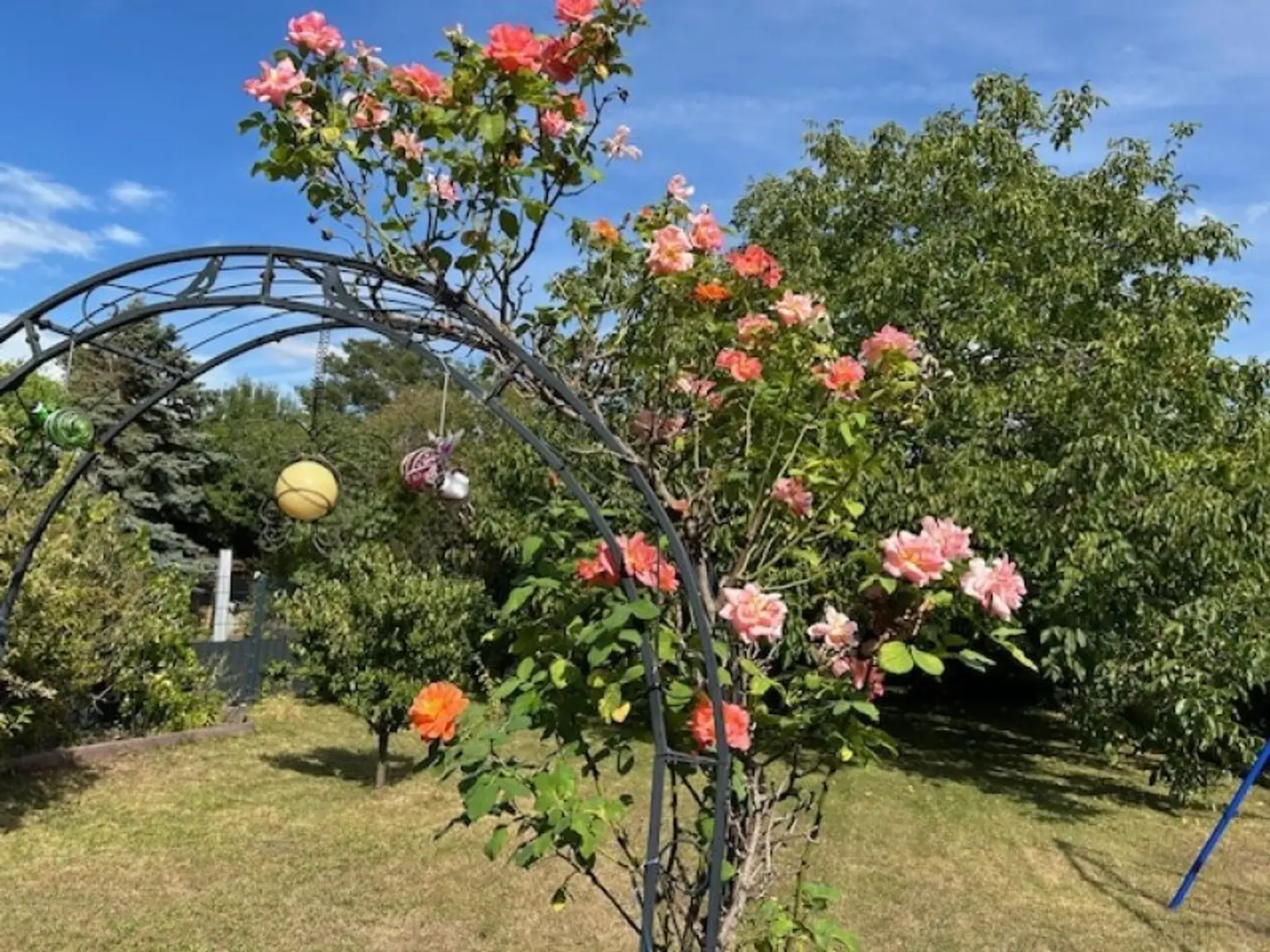 +++ TOP PREIS! - RARITÄT: ABSOLUT RUHIGE GARTENIDYLLE ( alter Baumbestand ) Wohnhaus mit Wintergarten - Lebensqualität pur, modernes Bad und Küche +++