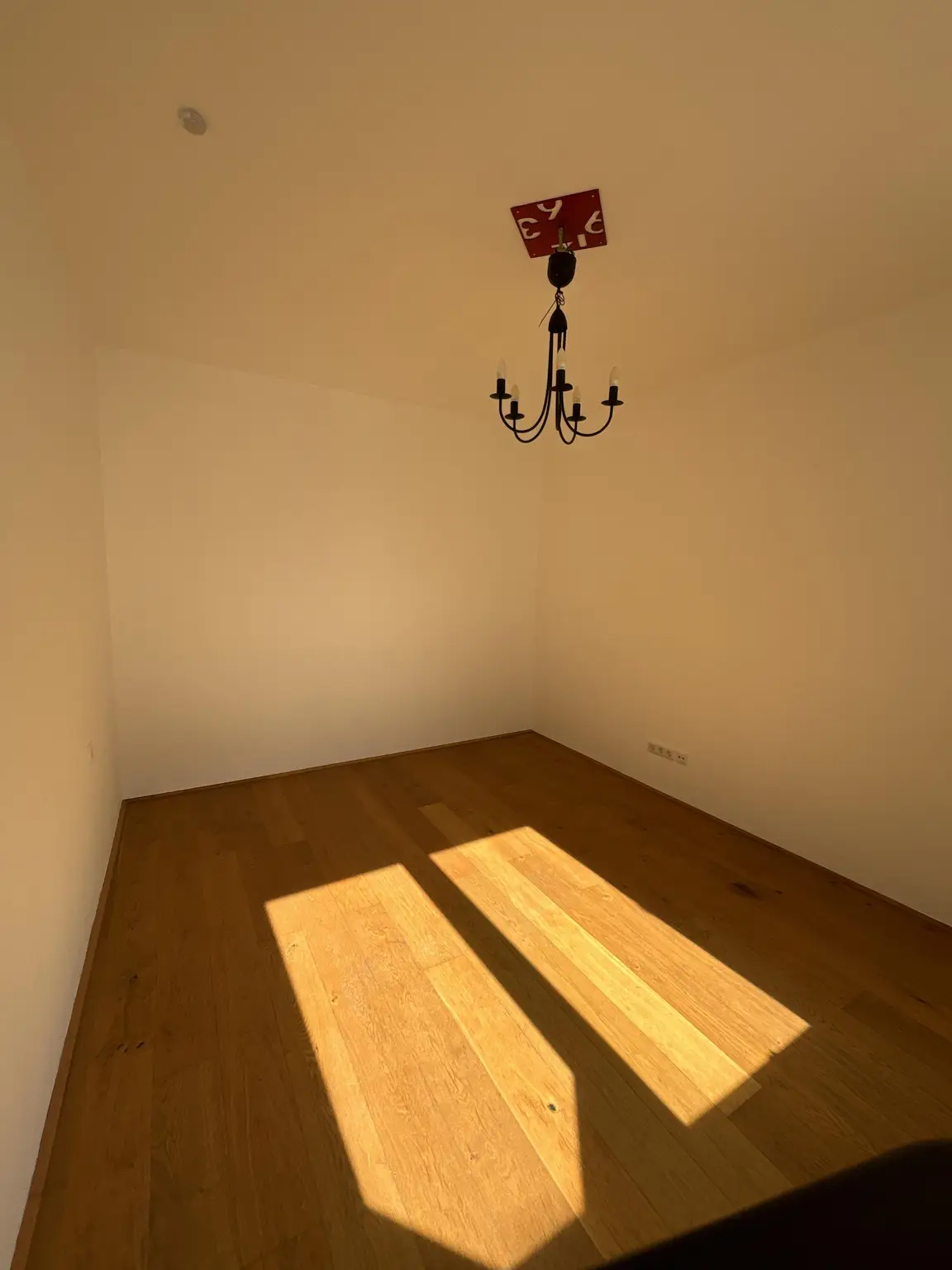 Gartenwohnung ~ 2 Zimmer ~ südlich ausgerichtet ~ Parkplatzmöglichkeit