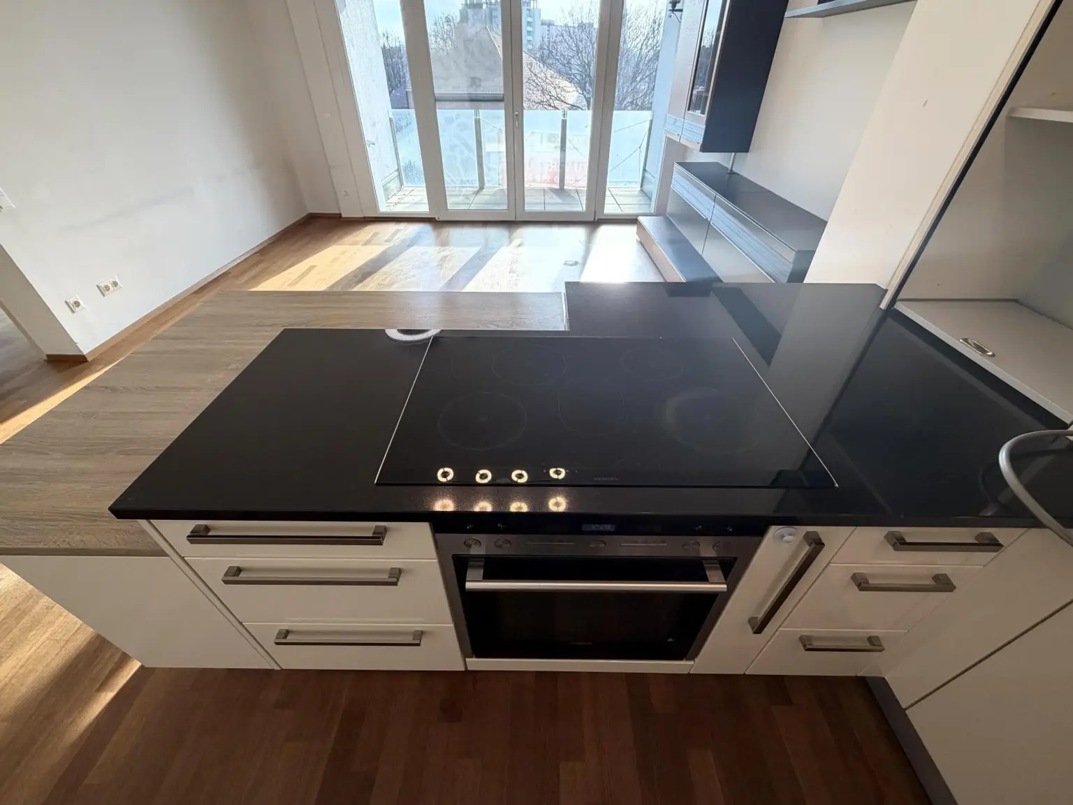 Wohn- / Essküche / Detail-Kochherd