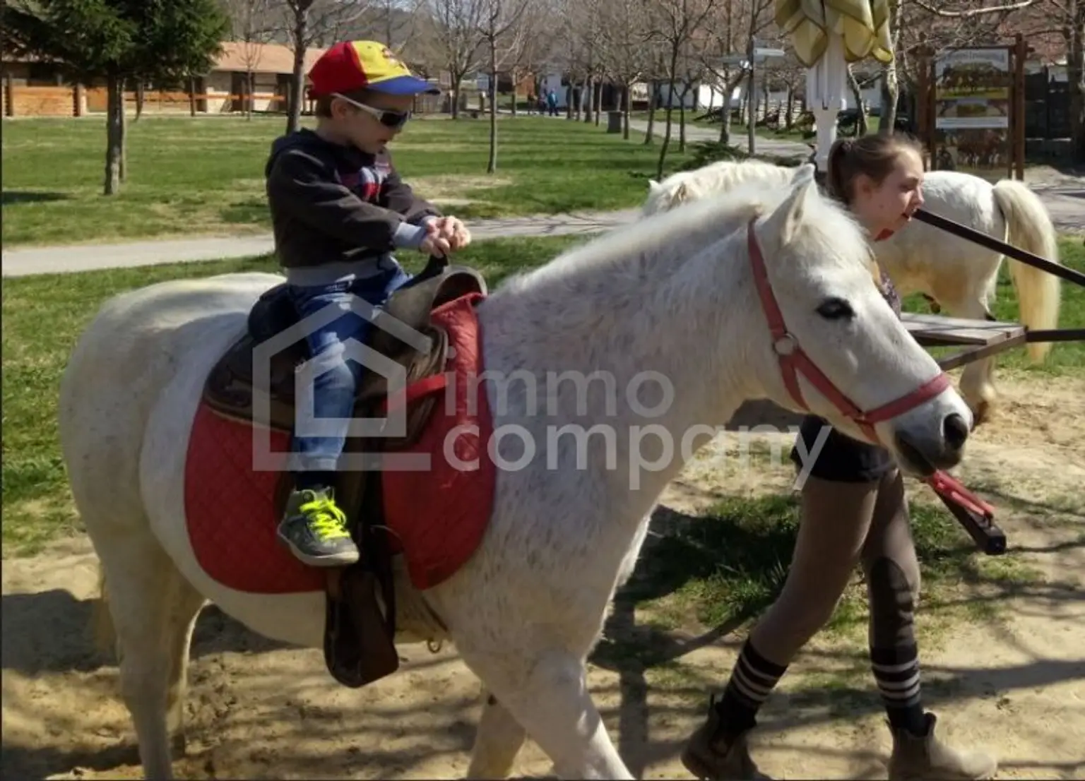 Traumhafter Grund mit Teilwidmung Reitplatz/Reitanlage - 7250 m² um nur 80.000 €!