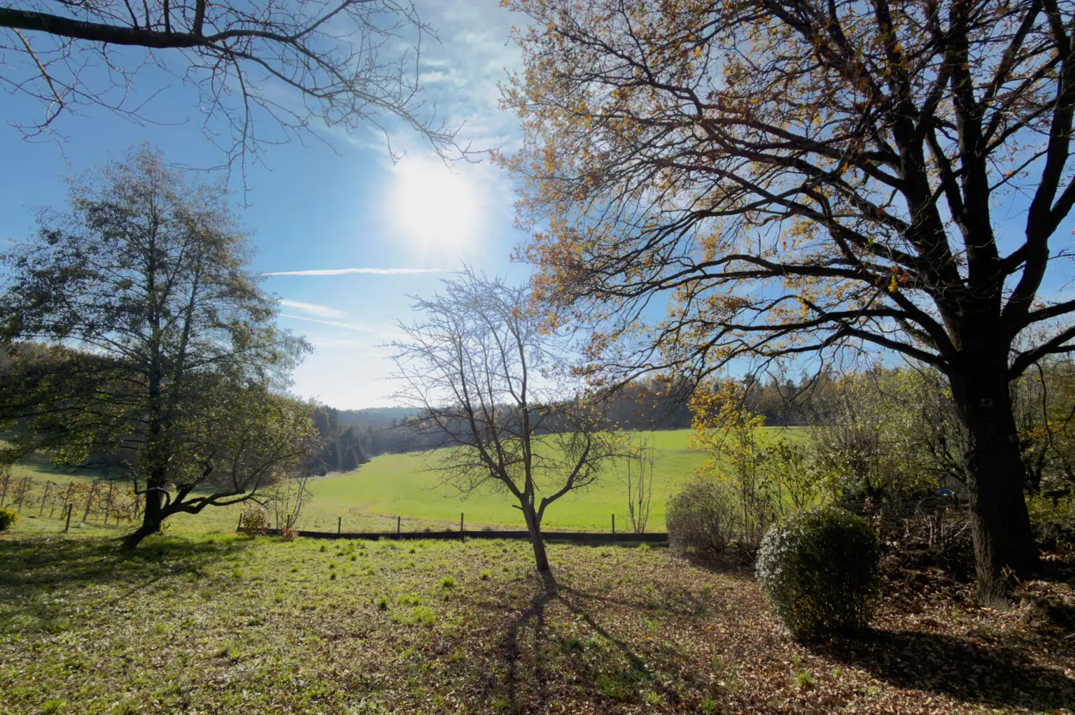 Licht, Leben & Landschaft – Ein Haus mit Herz in Thal bei Graz