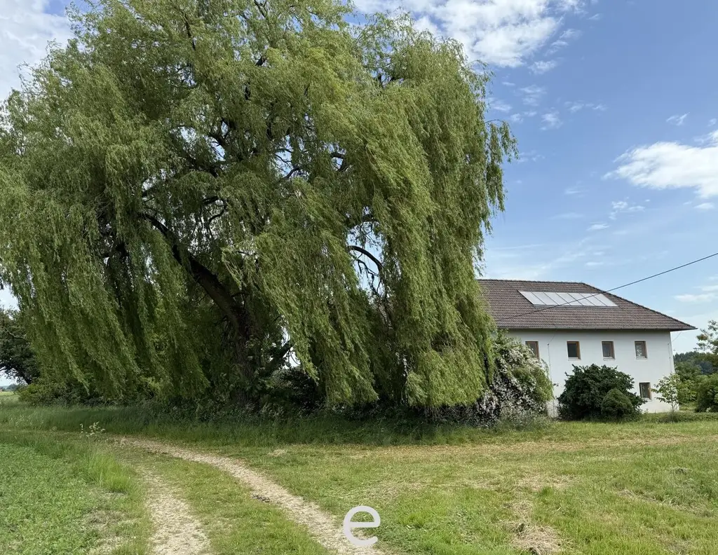 Vierkanthof in idyllischer Alleinlage