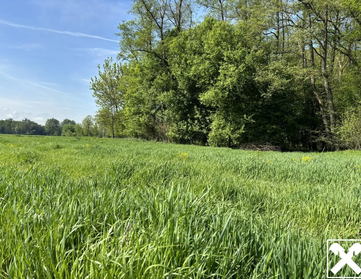 Landwirtschaftliche Fläche mit Waldanteil und guter Erreichbarkeit