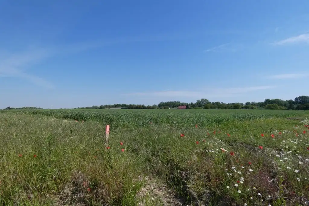 ECKGRUNDSTÜCK INMITTEN SCHÖNER NATUR NÄHE WIEN BRATISLAVA