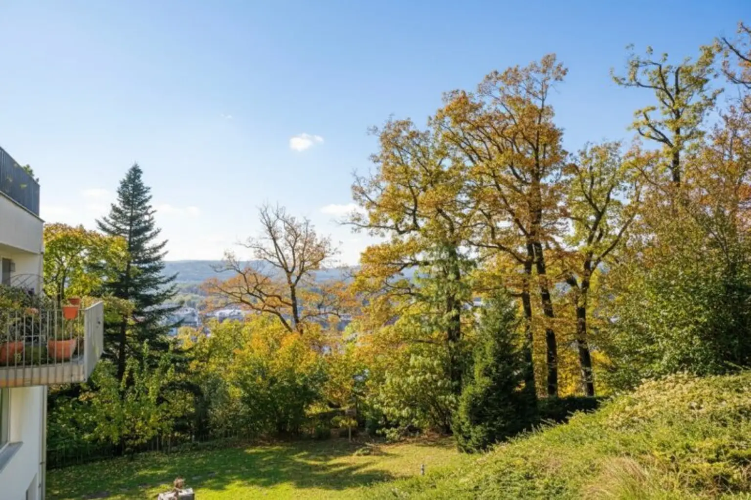 Ausblick Zimmer 2 bis zum Lainzer Tiergarten