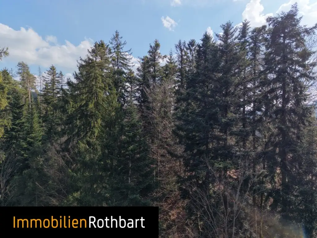 Wald mit Wiese und Zinshaus!