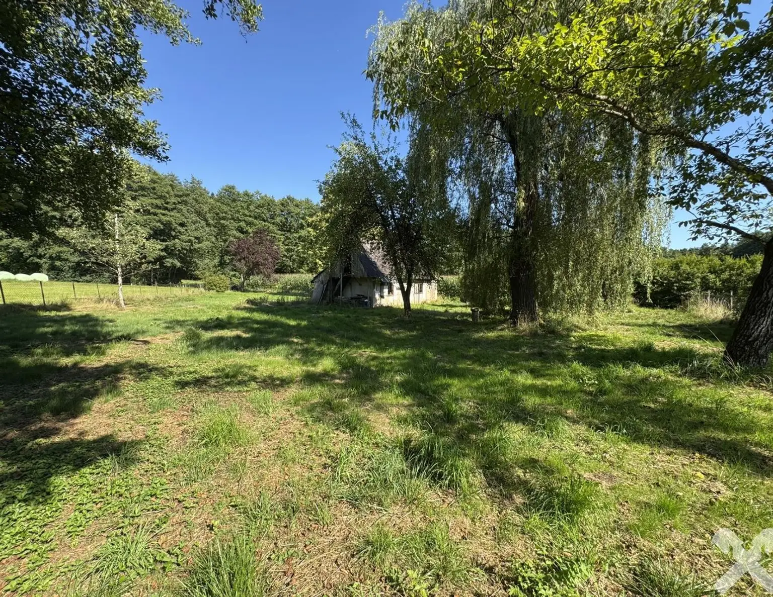 Idyllisch Leben - Grundstück mit altem Baumbestand