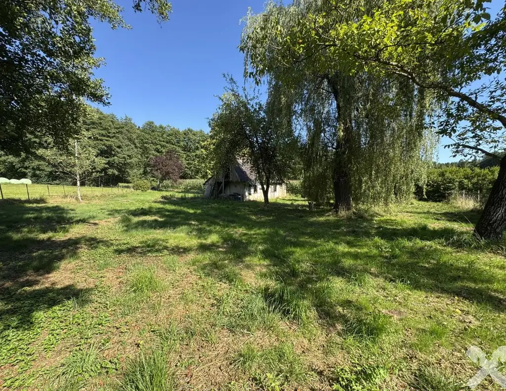 Idyllisch Leben - Grundstück mit altem Baumbestand