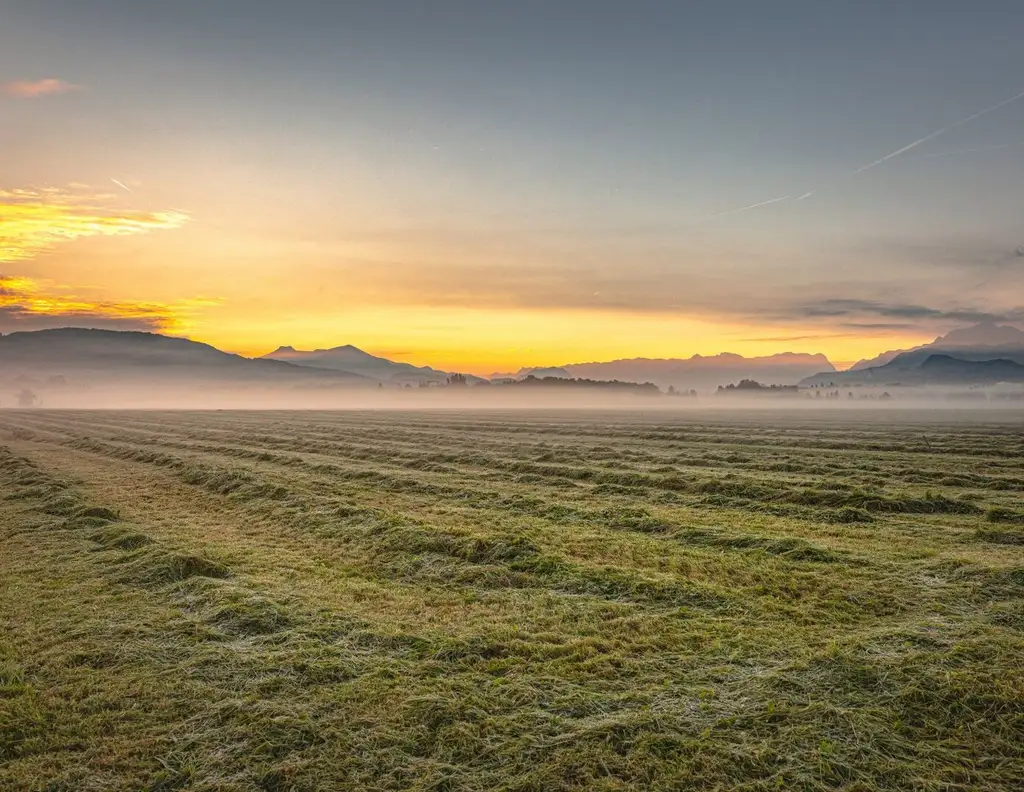 MORGENTAU LEOPOLDSKRON | PANORAMAGRUNDSTÜCK