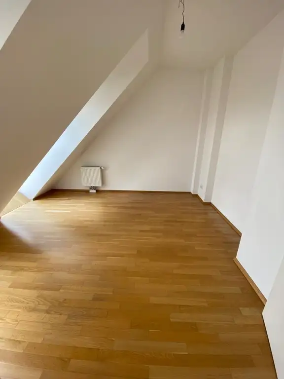 Zimmer III