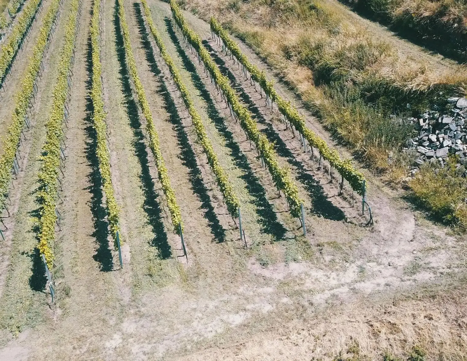 Wachau Weingarten in Top Lage