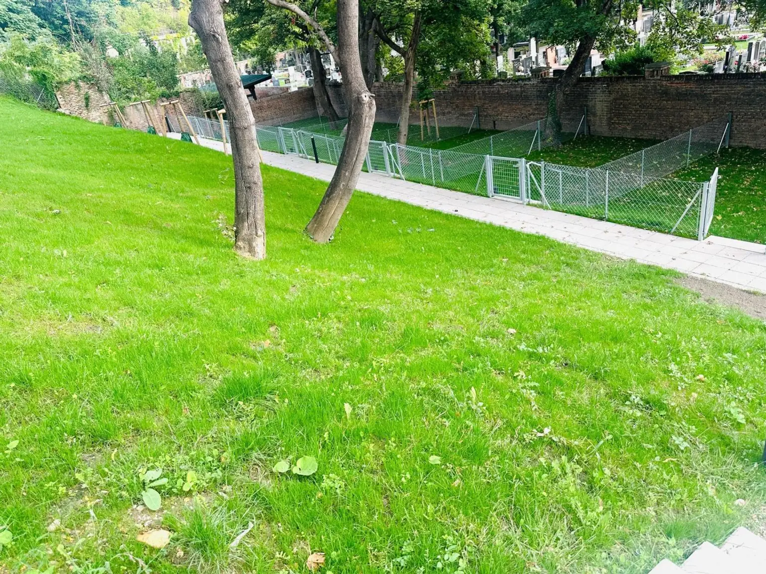 Erdgeschoßwohnung mit separatem Eigengarten