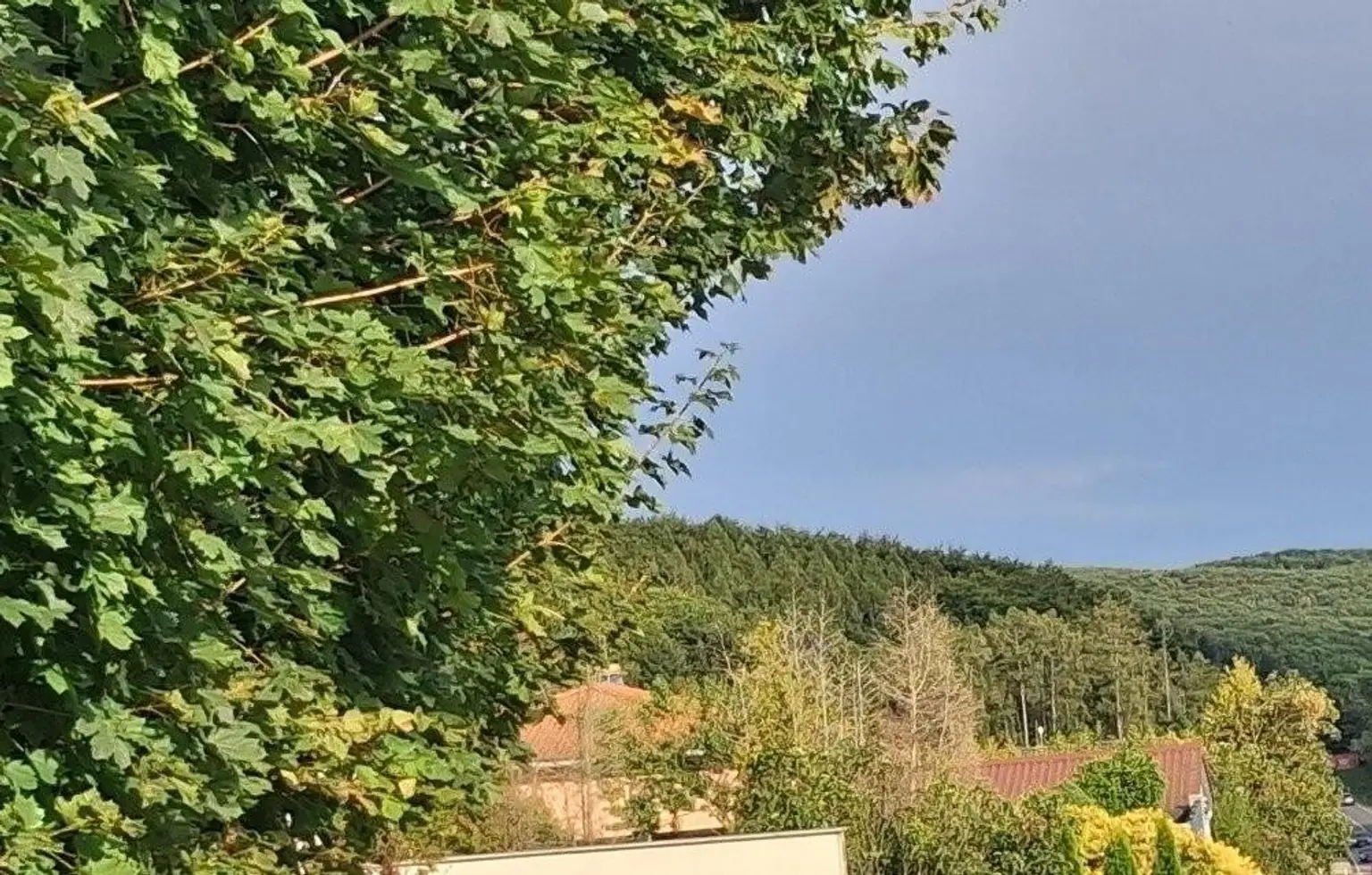 "Waldblick - Single-Balkonwohnung am Riederberg mit Parkplatz"