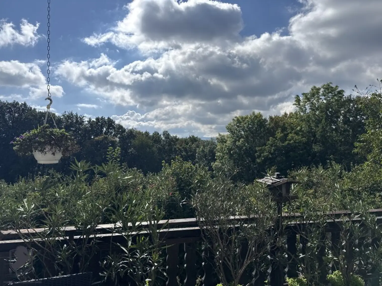 Einfamilienhaus mit großem Keller und traumhaftem Wald-Blick