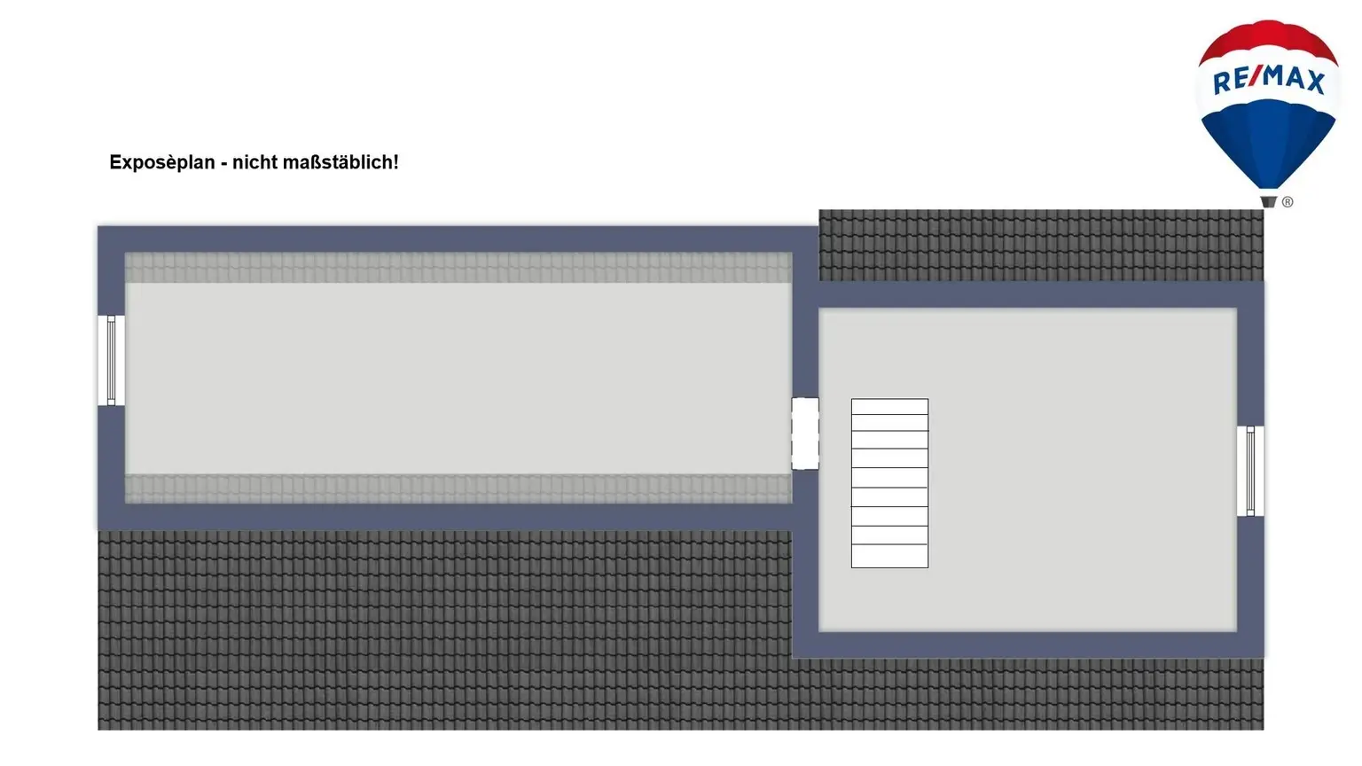 Plan DG