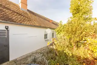 Garten 1