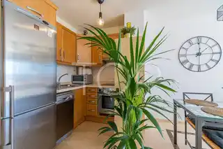 Apartment-Oasis-Kitchen-La-Caleta-Tenerife-2