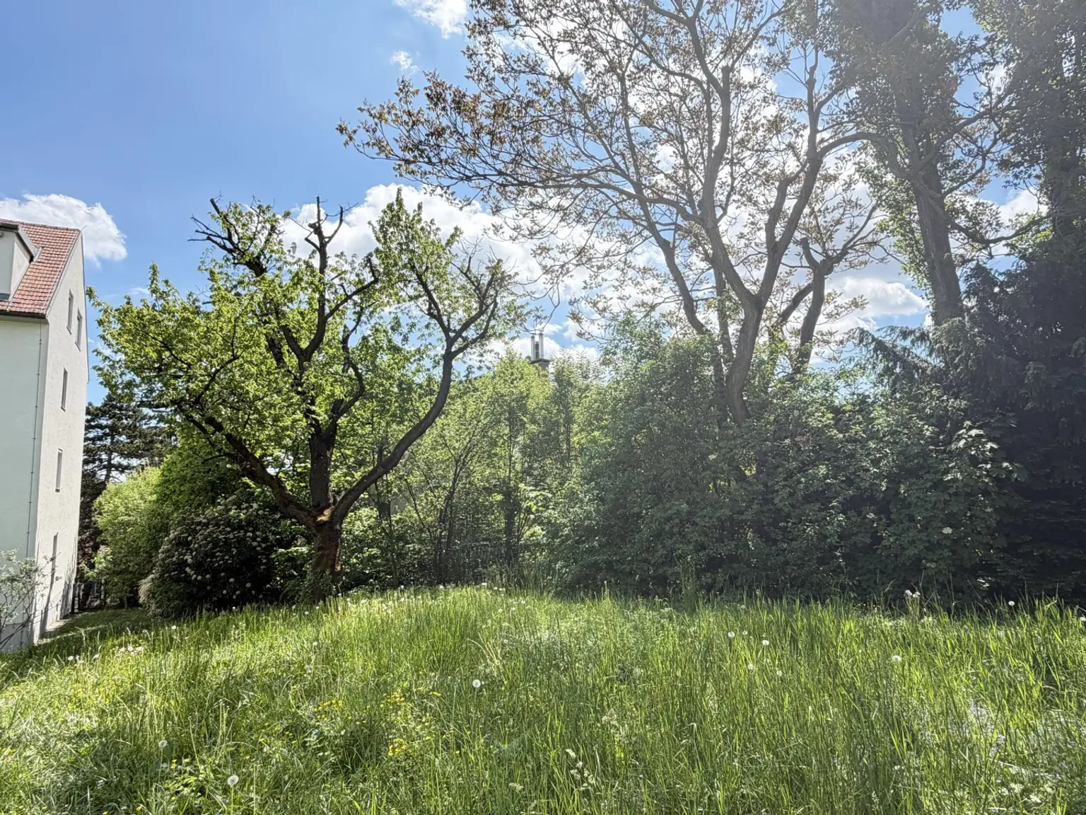 ETW 1180 Wien - Wohnungseingang Garten
