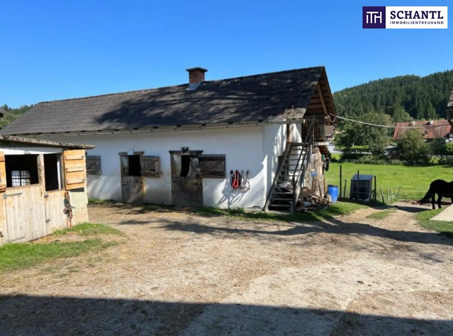 PFERDERANCH IN DER GRÜNEN STEIERMARK! Idyllischer Reiterhof in der Steiermark – Natur, Ruhe & Freiheit genießen! GLEICH ANFRAGEN UND BESICHTIGUNGSTERMIN VEREINBAREN!
