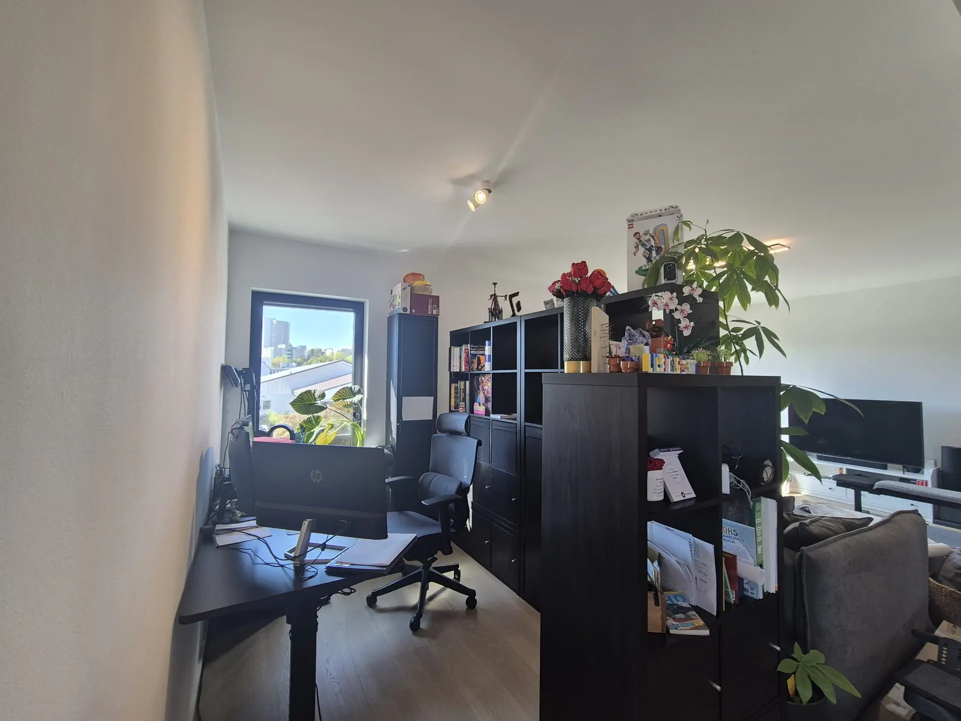 Abtrennung Wohnzimmer für ein Home-Office Bereicht