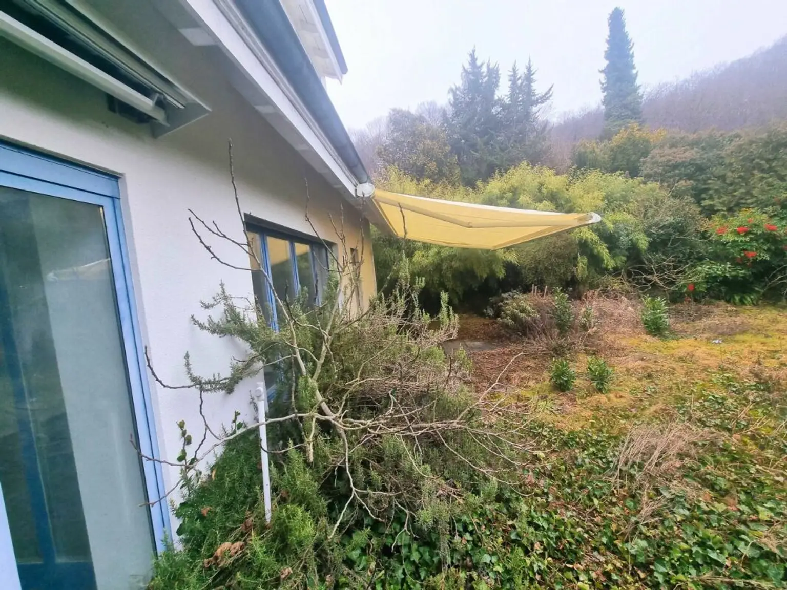 Ein ungeschliffener Diamant!