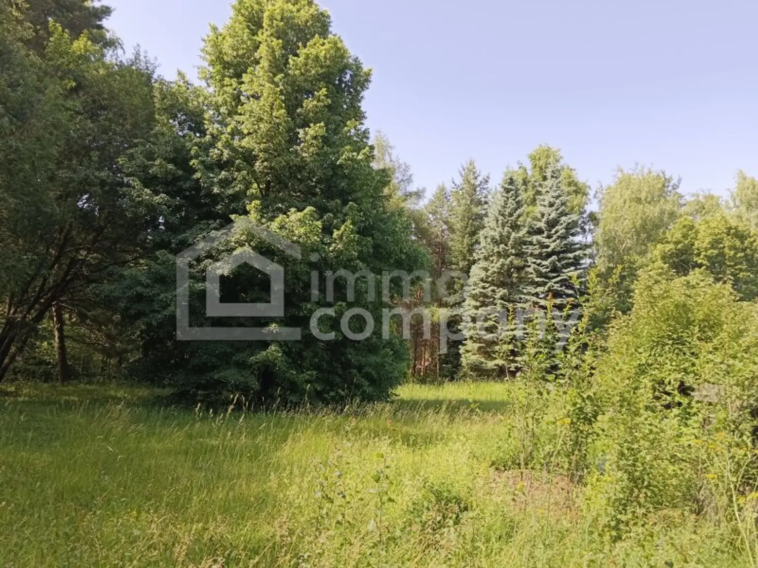 Ihre Gelegenheit! Grundstück in Traumlage mit Waldbestand!