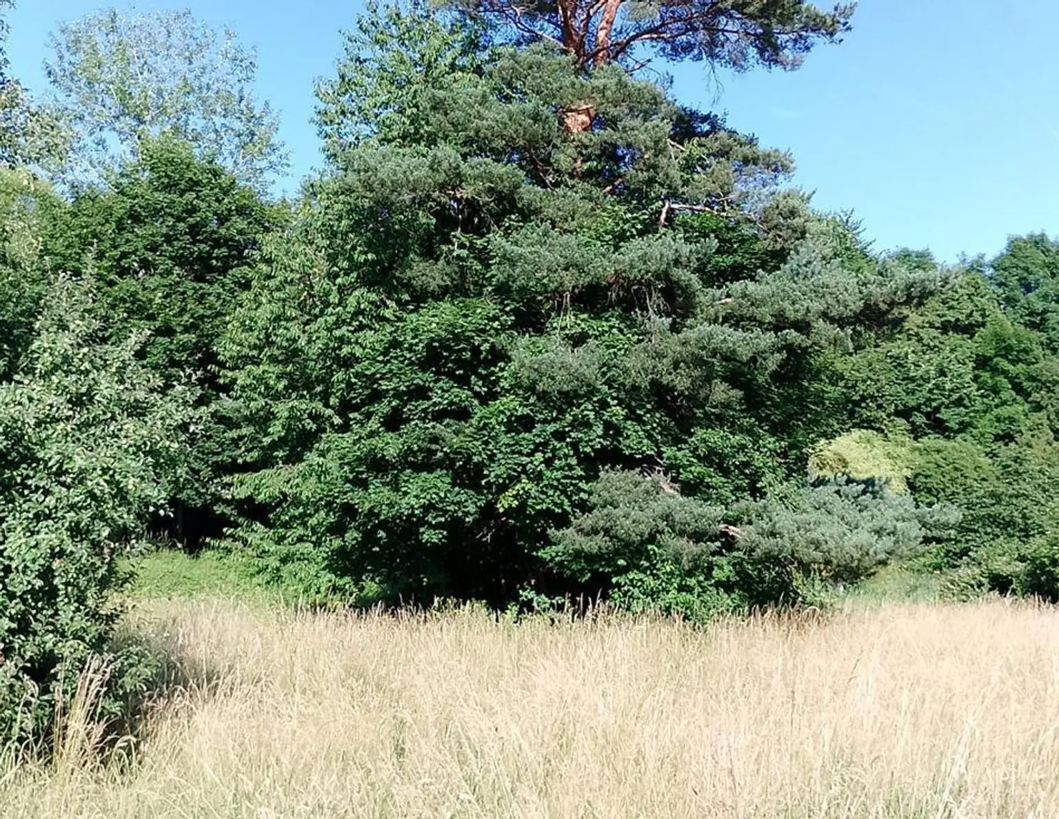 Ruhiger Baugrund in Heiligenkreuz