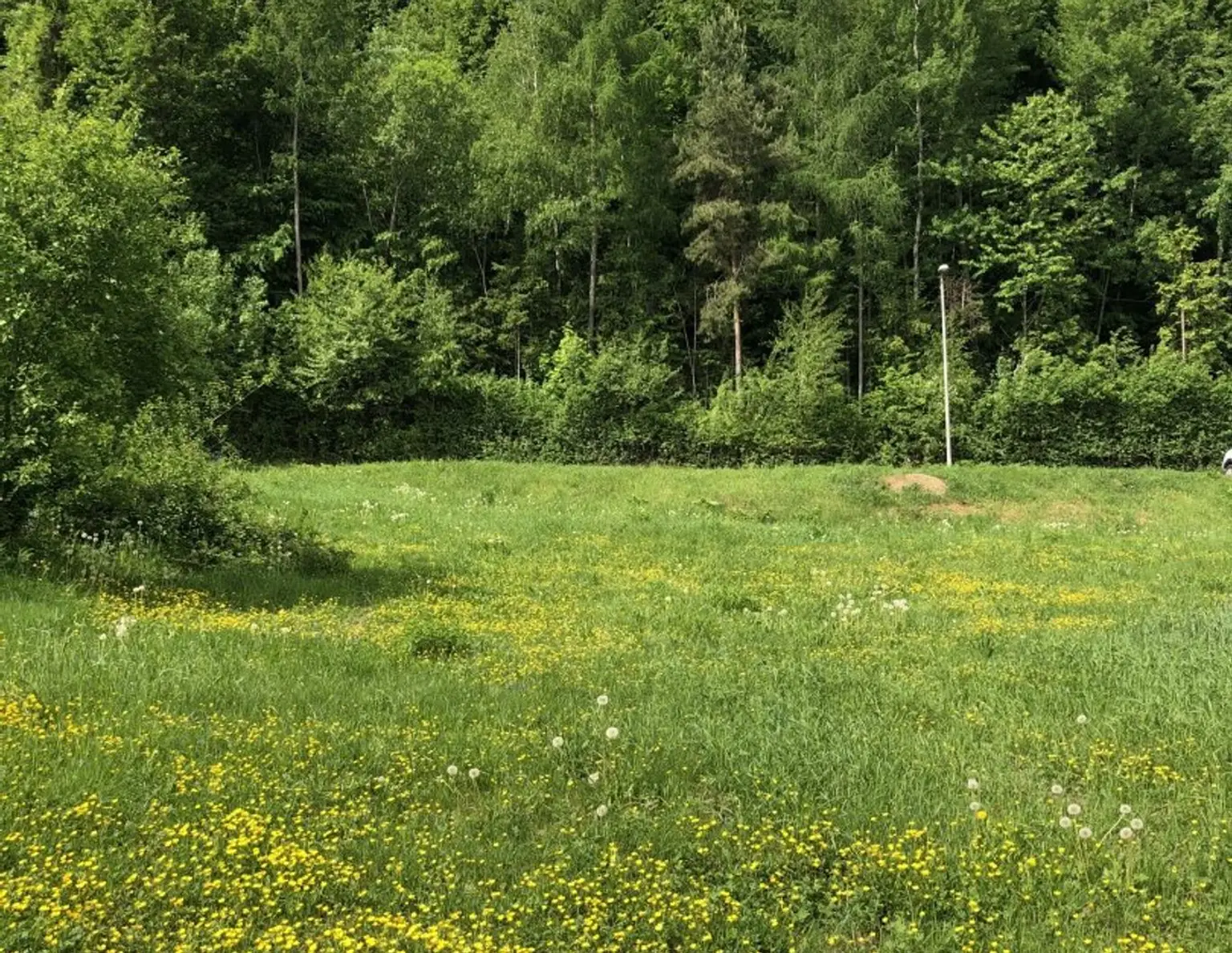 805 m² Grundstück direkt am RADWEG, aufgeschlossen, SONNENLAGE 8051 GÖSTING