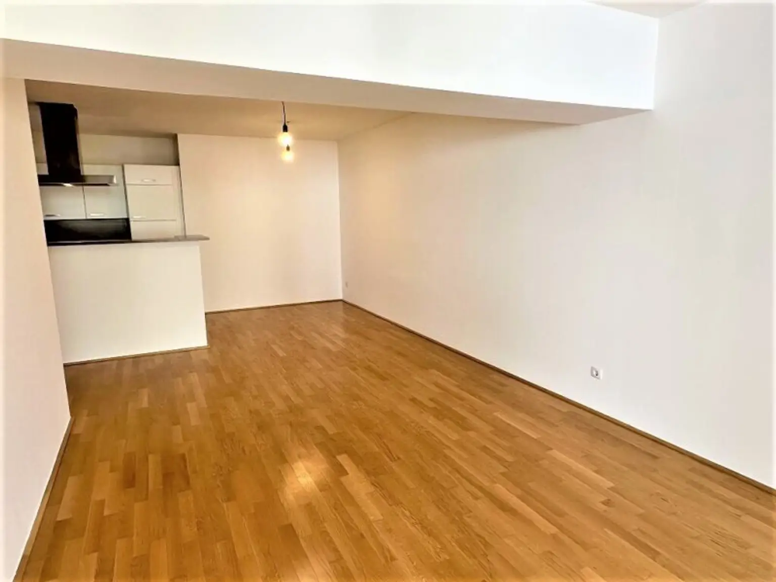 HOFRUHELAGE, HUMBOLDTGASSE, 80 m2 Neubau inkl. Loggia, 2 Zimmer, Komplettküche, Wannenbad, Parketten, U1-Nähe